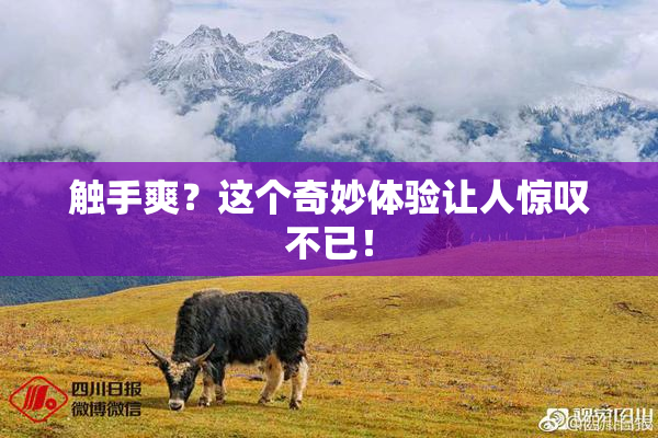 触手爽？这个奇妙体验让人惊叹不已！