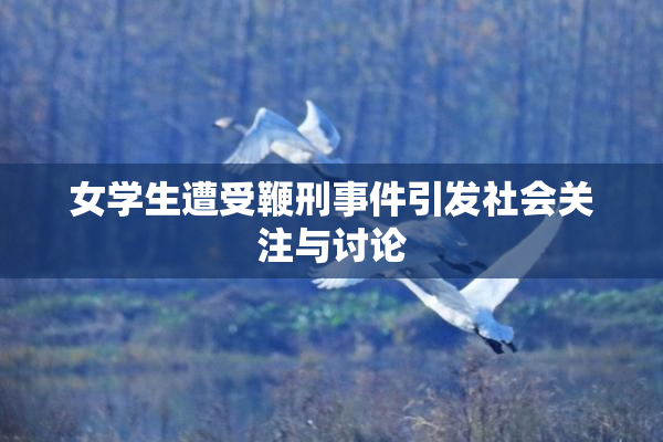 女学生遭受鞭刑事件引发社会关注与讨论