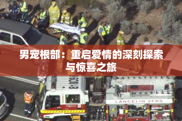 男宠根部：重启爱情的深刻探索与惊喜之旅