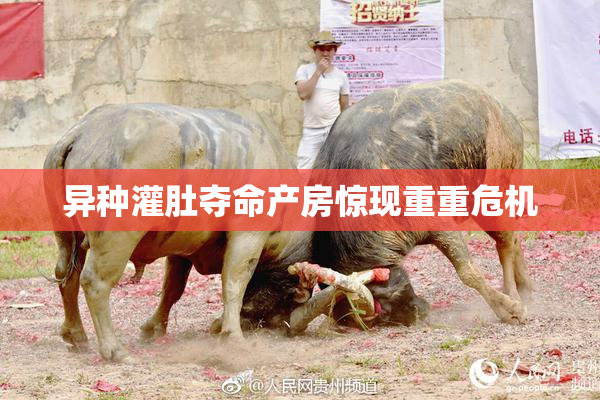 异种灌肚夺命产房惊现重重危机