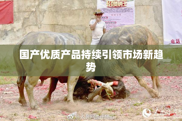 国产优质产品持续引领市场新趋势