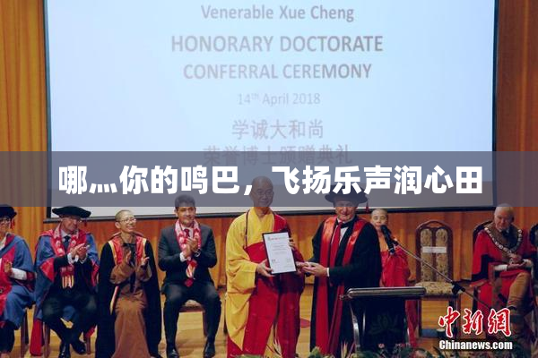 哪灬你的鸣巴，飞扬乐声润心田
