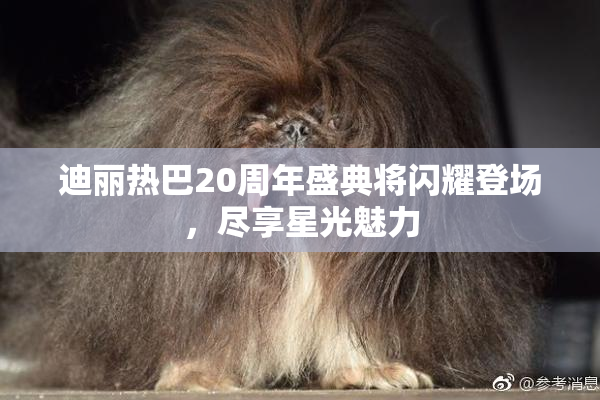 迪丽热巴20周年盛典将闪耀登场，尽享星光魅力