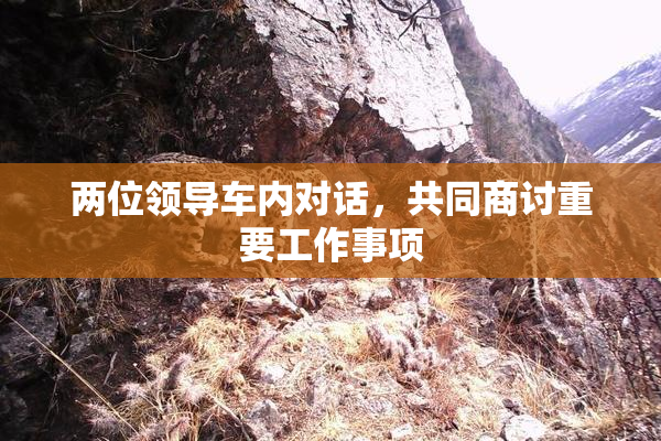 两位领导车内对话，共同商讨重要工作事项