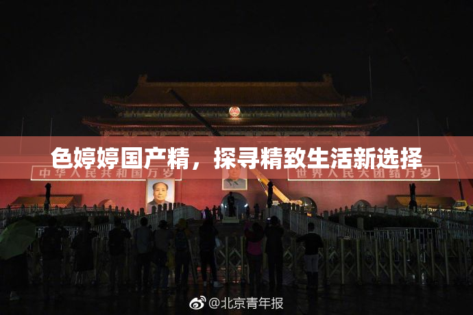 色婷婷国产精，探寻精致生活新选择