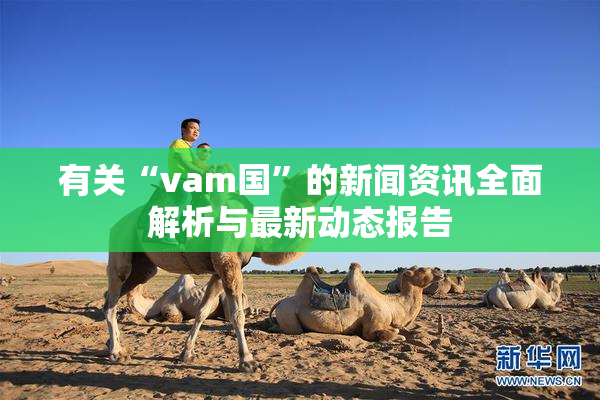 有关“vam国”的新闻资讯全面解析与最新动态报告