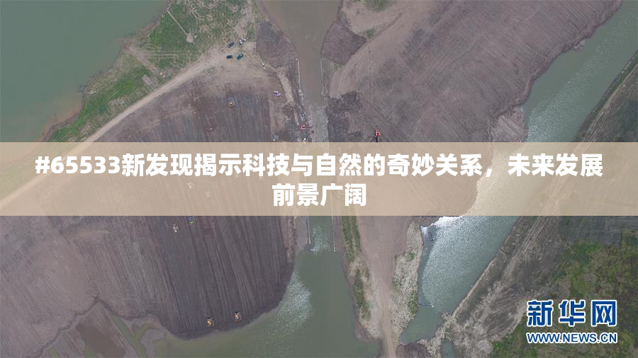 #65533新发现揭示科技与自然的奇妙关系，未来发展前景广阔