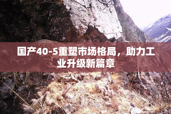 国产40-5重塑市场格局，助力工业升级新篇章