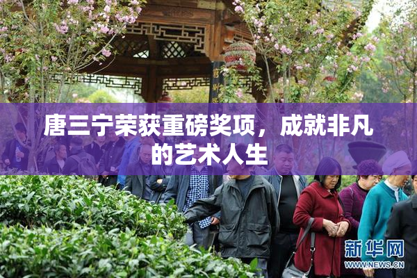 唐三宁荣获重磅奖项，成就非凡的艺术人生