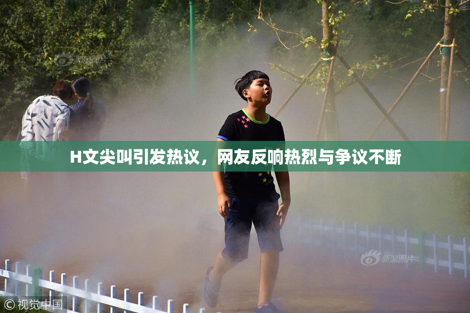 H文尖叫引发热议，网友反响热烈与争议不断