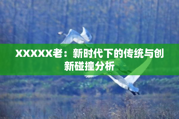 XXXXX老：新时代下的传统与创新碰撞分析