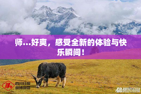 师…好爽，感受全新的体验与快乐瞬间！