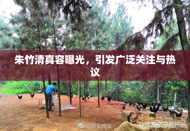 朱竹清真容曝光，引发广泛关注与热议