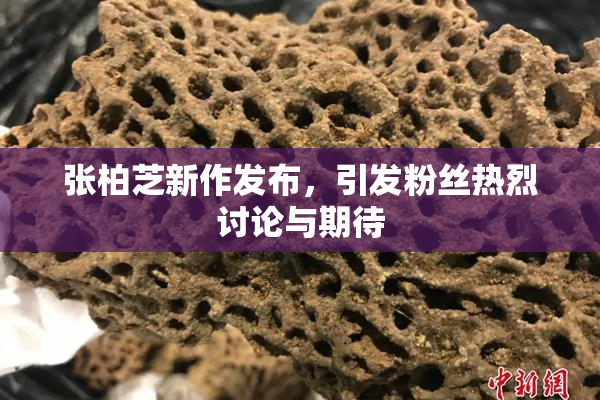 张柏芝新作发布，引发粉丝热烈讨论与期待