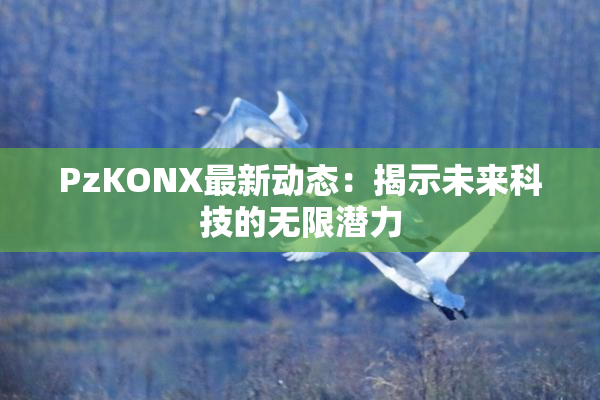 PzKONX最新动态：揭示未来科技的无限潜力
