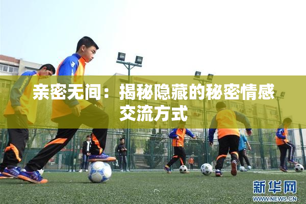 亲密无间：揭秘隐藏的秘密情感交流方式