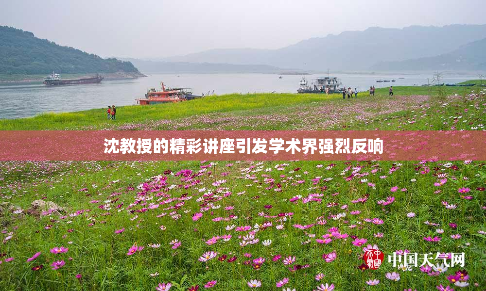沈教授的精彩讲座引发学术界强烈反响