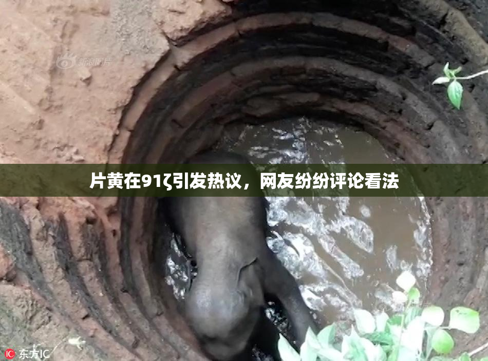片黄在91ζ引发热议，网友纷纷评论看法