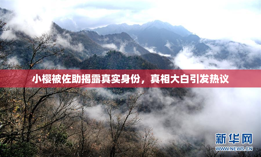 小樱被佐助揭露真实身份，真相大白引发热议