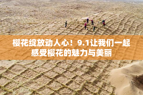 樱花绽放动人心！9.1让我们一起感受樱花的魅力与美丽