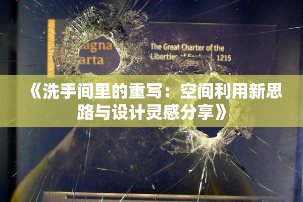 《洗手间里的重写：空间利用新思路与设计灵感分享》
