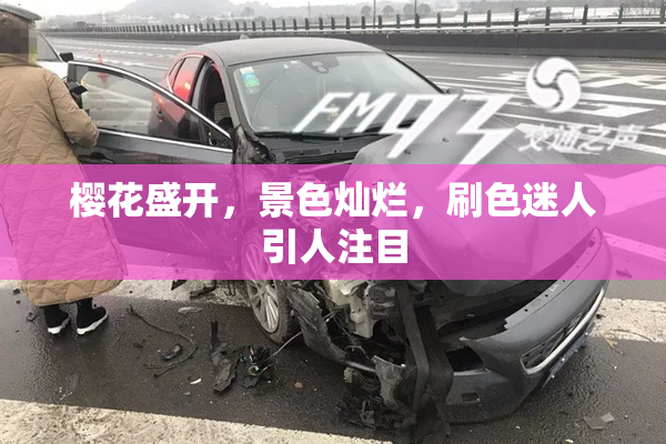 樱花盛开，景色灿烂，刷色迷人引人注目