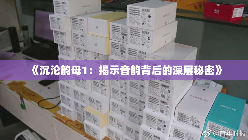 《沉沦韵母1：揭示音韵背后的深层秘密》