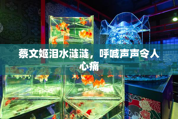 蔡文姬泪水涟涟，呼喊声声令人心痛