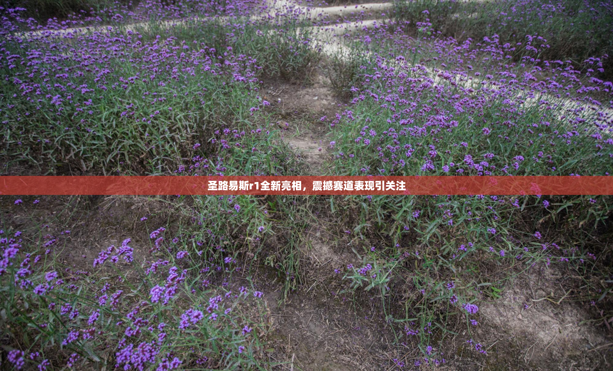 圣路易斯r1全新亮相，震撼赛道表现引关注
