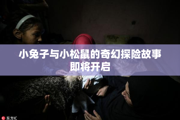 小兔子与小松鼠的奇幻探险故事即将开启