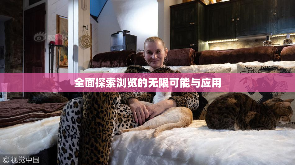 全面探索浏览的无限可能与应用