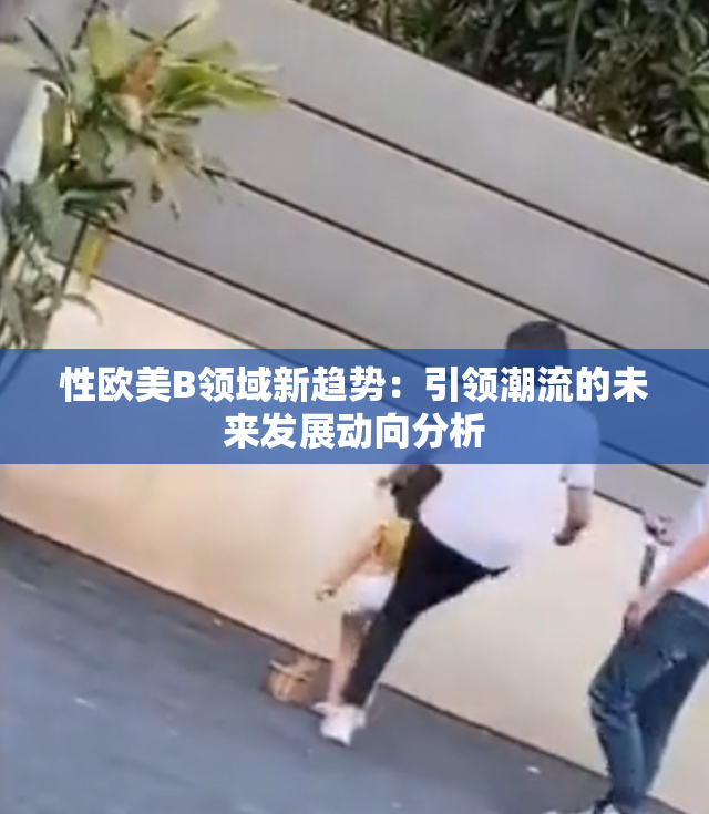 性欧美B领域新趋势：引领潮流的未来发展动向分析