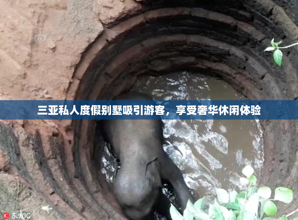 三亚私人度假别墅吸引游客，享受奢华休闲体验