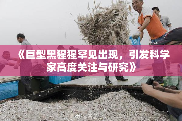 《巨型黑猩猩罕见出现，引发科学家高度关注与研究》