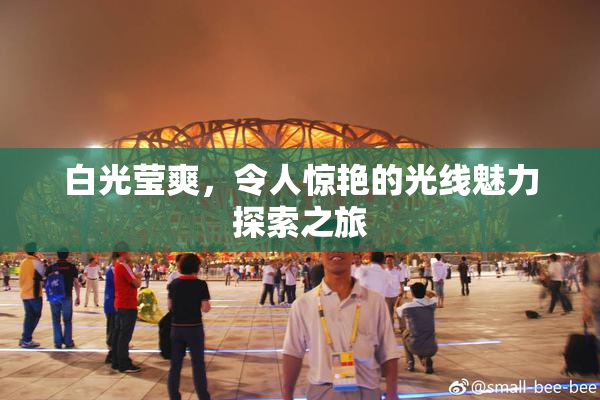 白光莹爽，令人惊艳的光线魅力探索之旅