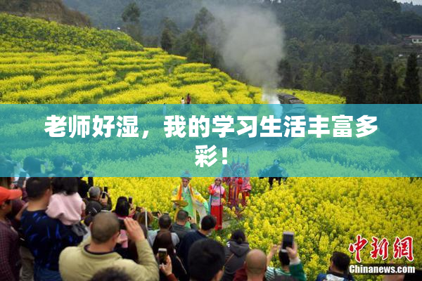 老师好湿，我的学习生活丰富多彩！