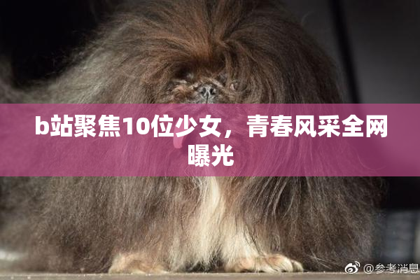 b站聚焦10位少女，青春风采全网曝光