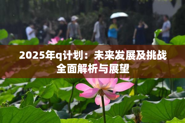 2025年q计划：未来发展及挑战全面解析与展望