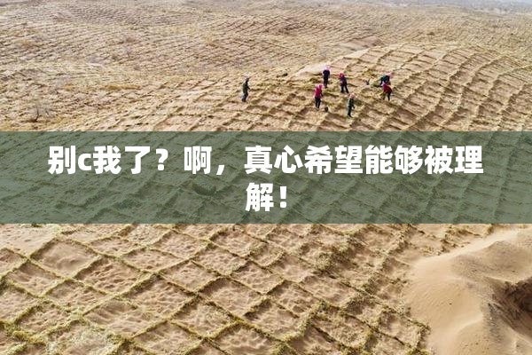 别c我了？啊，真心希望能够被理解！
