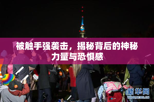 被触手强袭击，揭秘背后的神秘力量与恐惧感