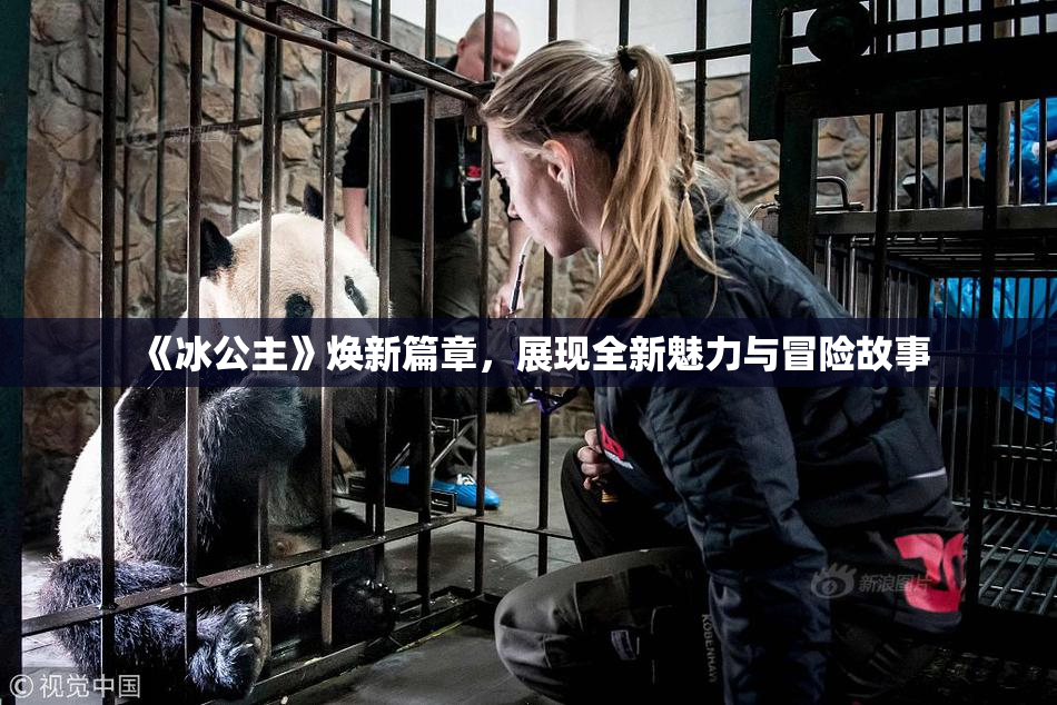 《冰公主》焕新篇章，展现全新魅力与冒险故事