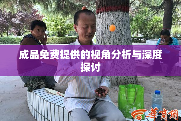 成品免费提供的视角分析与深度探讨
