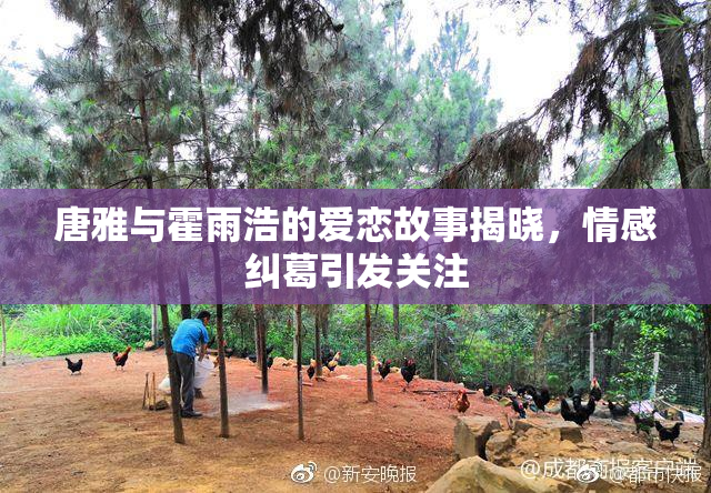 唐雅与霍雨浩的爱恋故事揭晓，情感纠葛引发关注