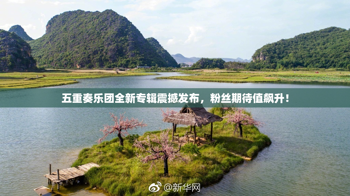 五重奏乐团全新专辑震撼发布，粉丝期待值飙升！