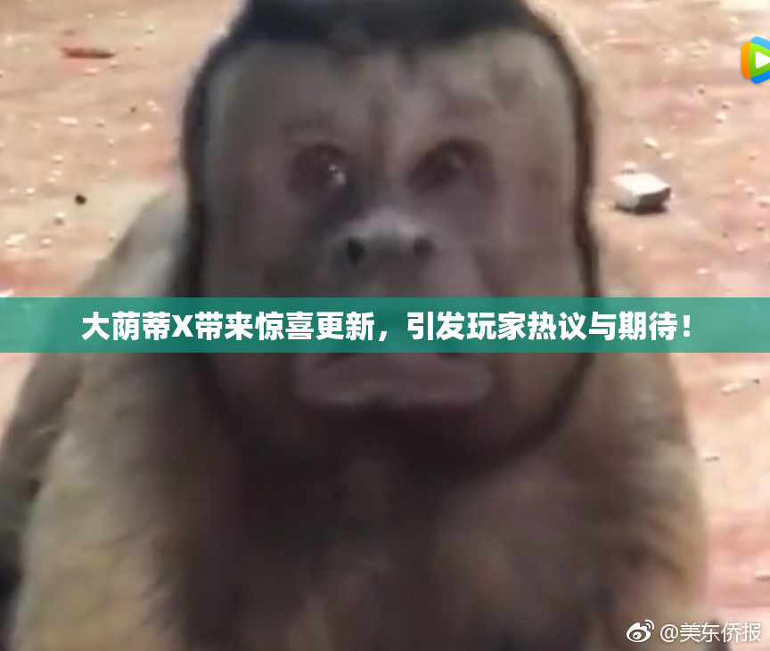 大荫蒂X带来惊喜更新，引发玩家热议与期待！