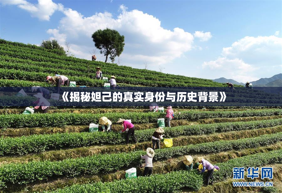 《揭秘妲己的真实身份与历史背景》