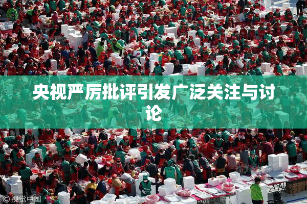央视严厉批评引发广泛关注与讨论