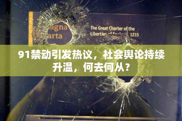 91禁动引发热议，社会舆论持续升温，何去何从？