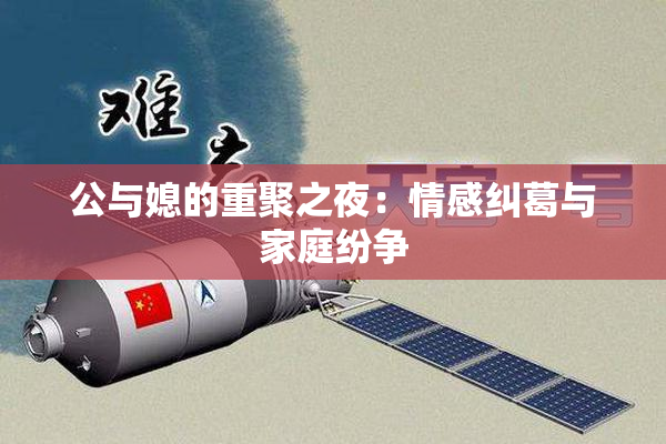 公与媳的重聚之夜：情感纠葛与家庭纷争