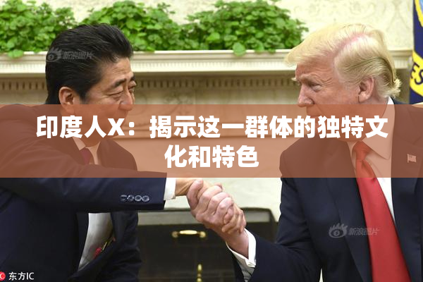 印度人X：揭示这一群体的独特文化和特色